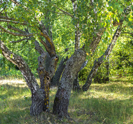 Similar image 10319097