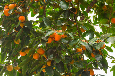 Similar image 10319130