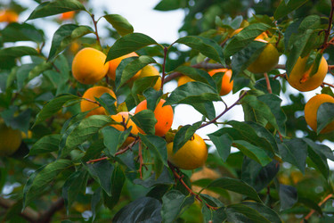 Similar image 10319138