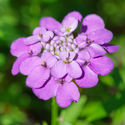 Similar image 10319299