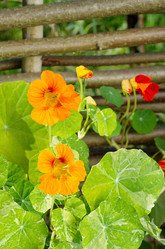 Similar image 10319301