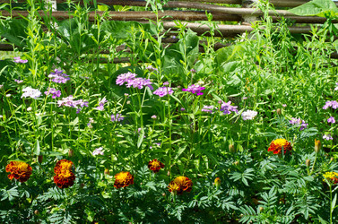 Similar image 10319304