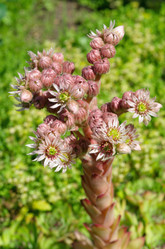 Similar image 10319306