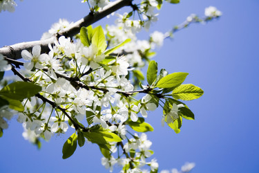 Similar image 10321829