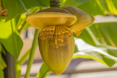 Similar image 10322704