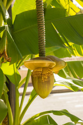 Similar image 10322706