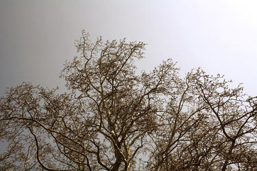 Similar image 10323329