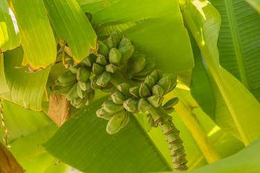 Similar image 10323591