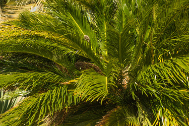 Similar image 10323594