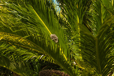 Similar image 10323596