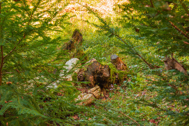 Similar image 10324349