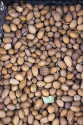 Similar image 10369575