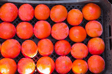 Similar image 10369581