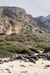 Similar image 10402092