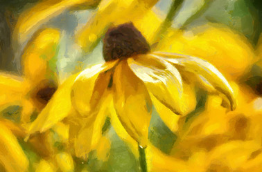 Similar image 10405804