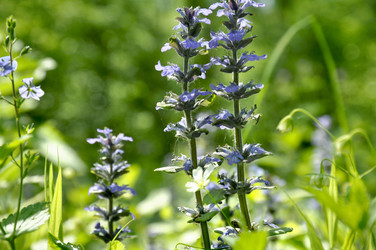 Similar image 10410061