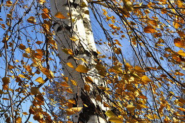 Similar image 10410215