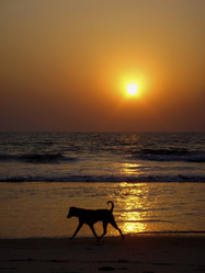 Similar image 10410219