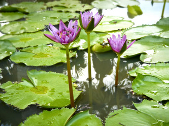 Similar image 10410237