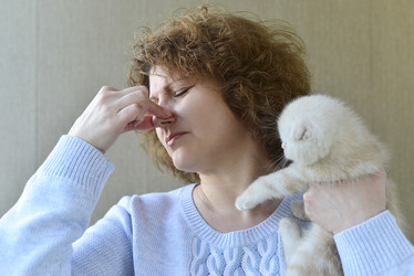 Similar image 10410583