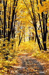 Similar image 10432111