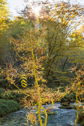 Similar image 10432221