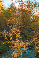 Similar image 10432226