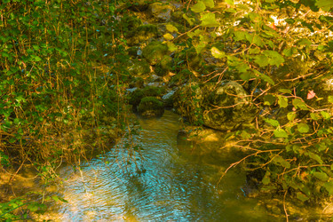 Similar image 10432227