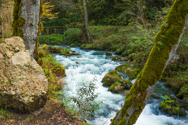 Similar image 10432231