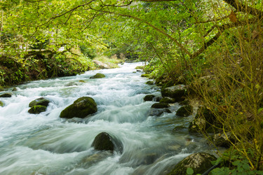 Similar image 10432233