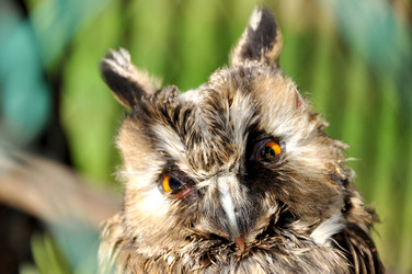 Similar image 10432267