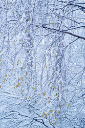 Similar image 10432324