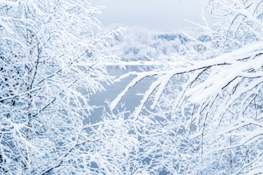 Similar image 10432325