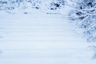 Similar image 10432327