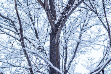 Similar image 10432328