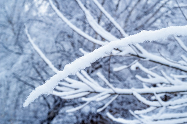 Similar image 10432329