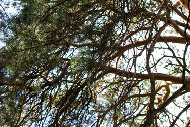 Similar image 10432412