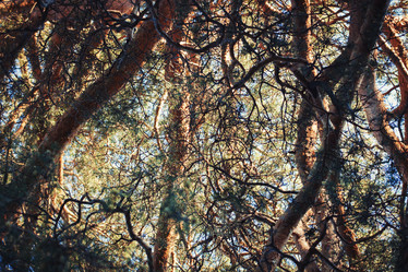 Similar image 10432423