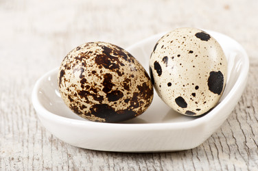 Similar image 10432704