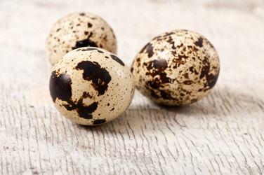 Similar image 10432708