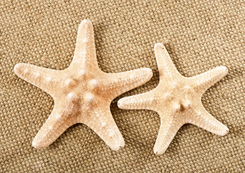 Similar image 10432711