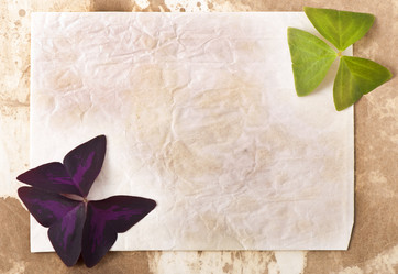 Similar image 10432714