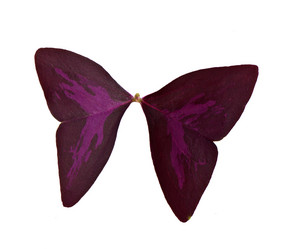 Similar image 10432720