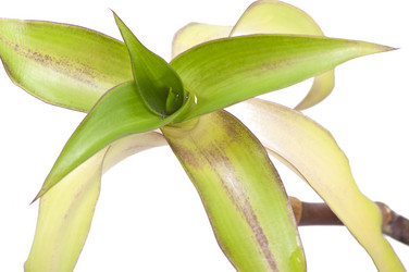 Similar image 10432722