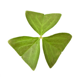 Similar image 10432723