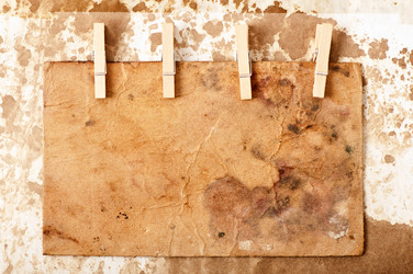 Similar image 10432729