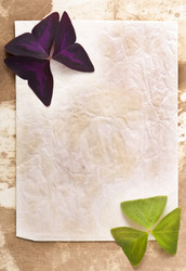 Similar image 10432732