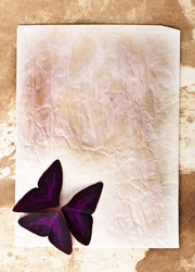 Similar image 10432733