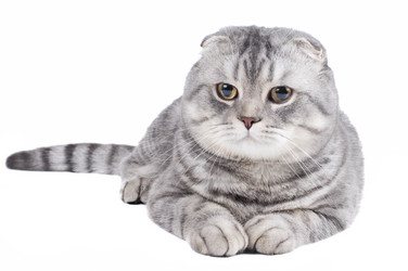 Similar image 10432839