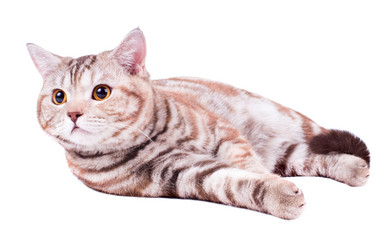 Similar image 10432841